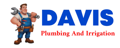 Trusted plumber in TURBEVILLE